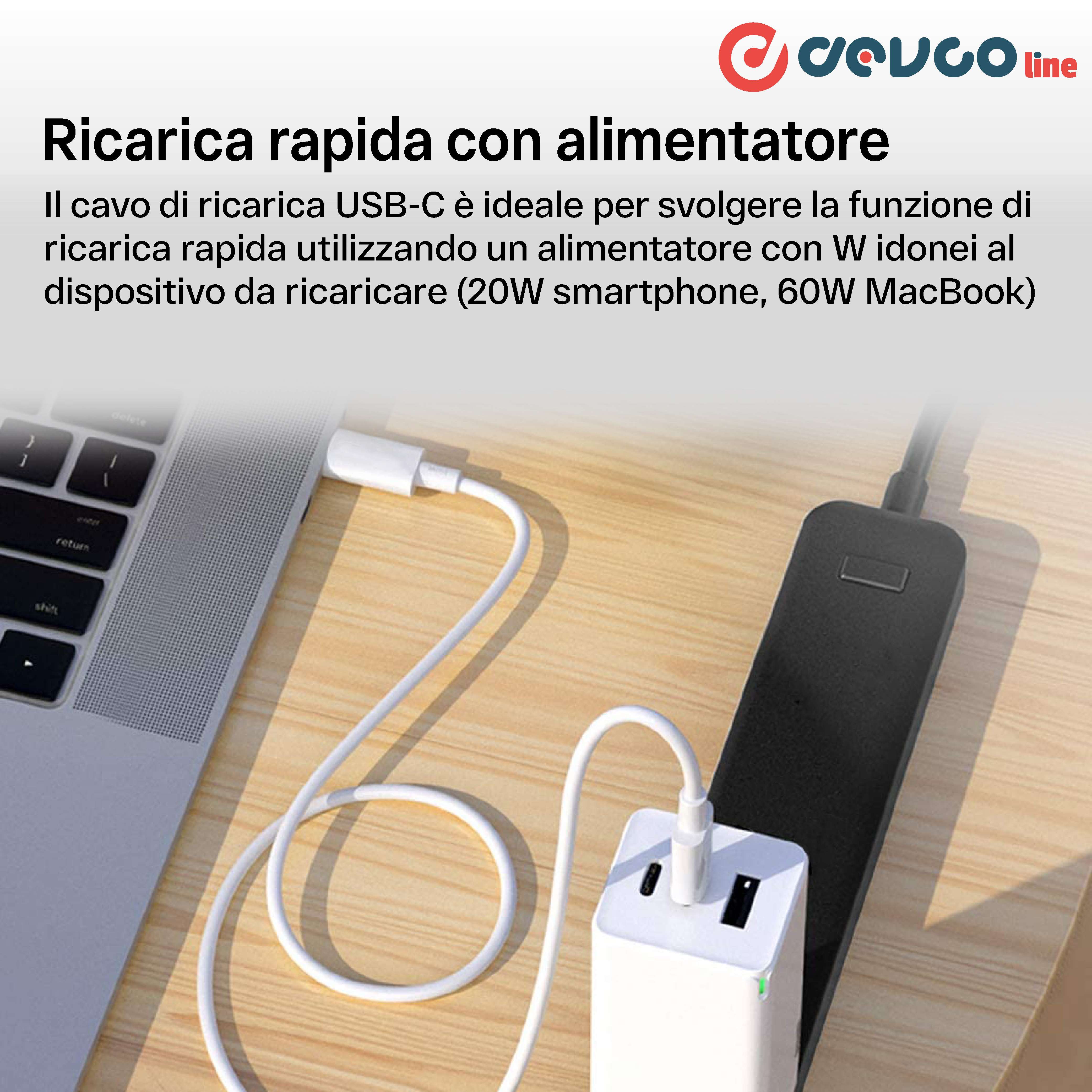 Cavo USB due connettori USB-C 1 metro - DEVCOline  AT CR 2TC1